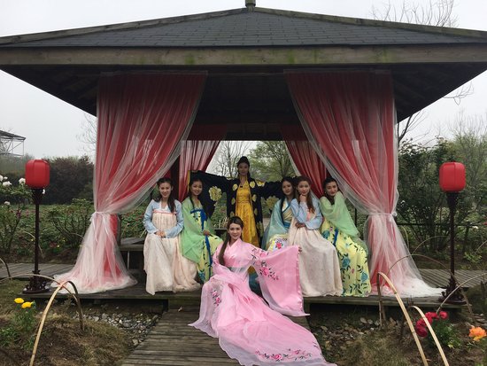 千年毓国色 倾城唯牡丹｜第九届合肥牡丹节开幕