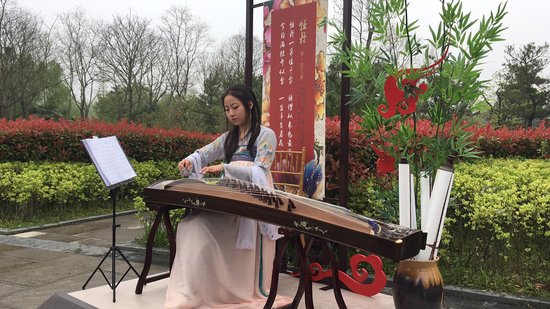 千年毓国色 倾城唯牡丹｜第九届合肥牡丹节开幕